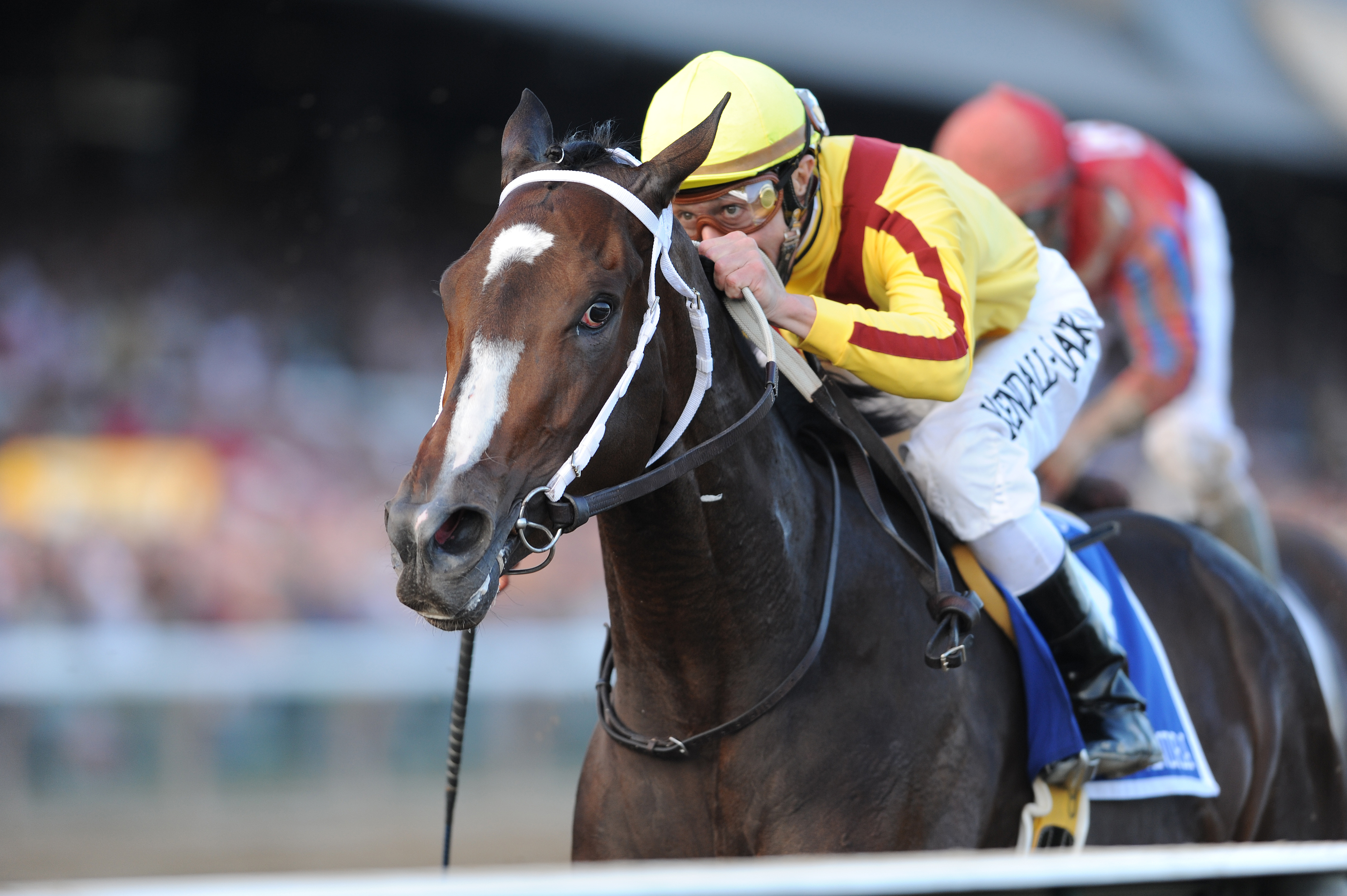 Rachel Alexandra winning the 2009 Woodward Stakes, Calvin Borel up (NYRA)