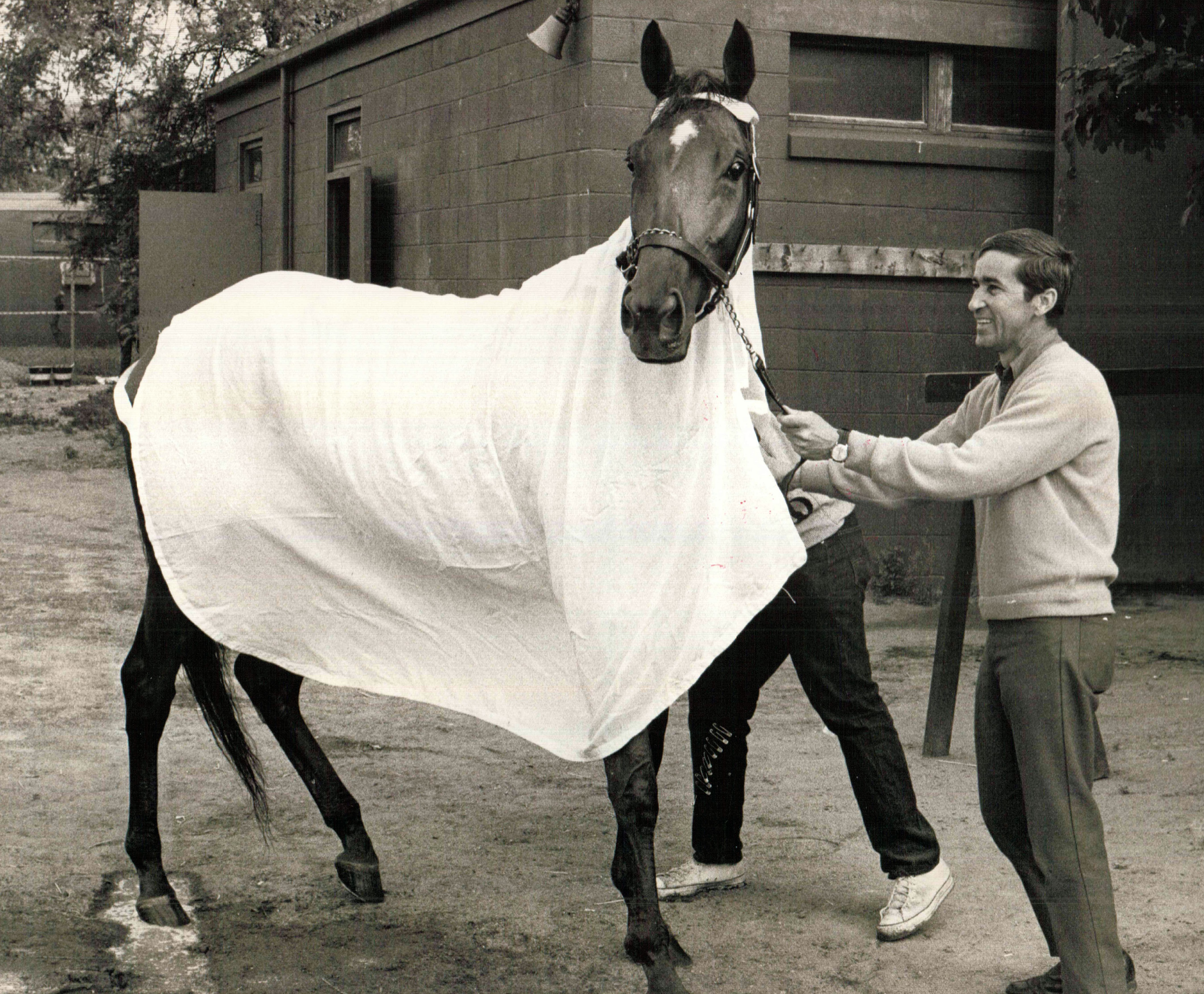 Shuvee, June 1969 (NYRA/Paul Schafer /Museum Collection)