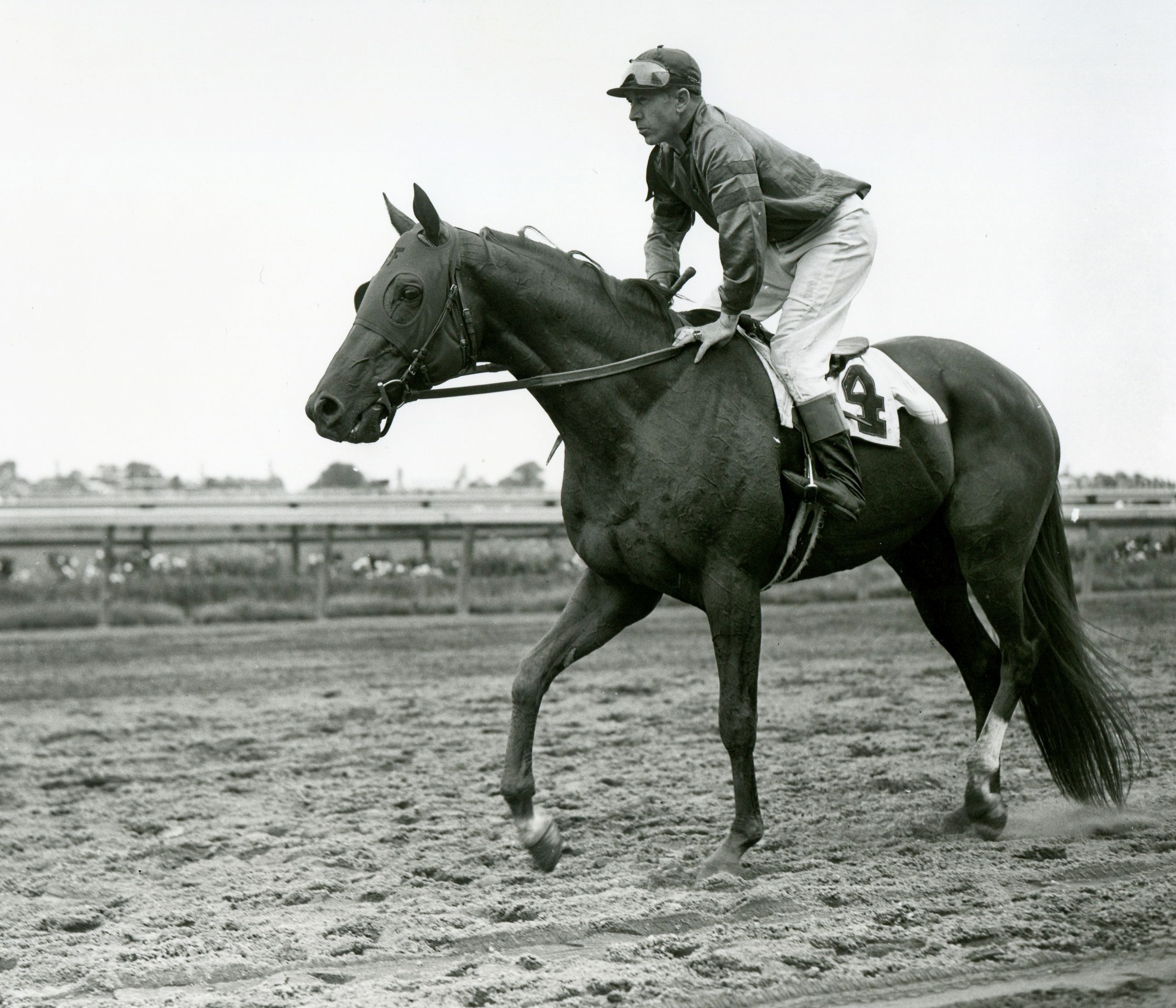 Whirlaway (George Woolf up) before the 1942 Brooklyn Handicap (Museum Collection)