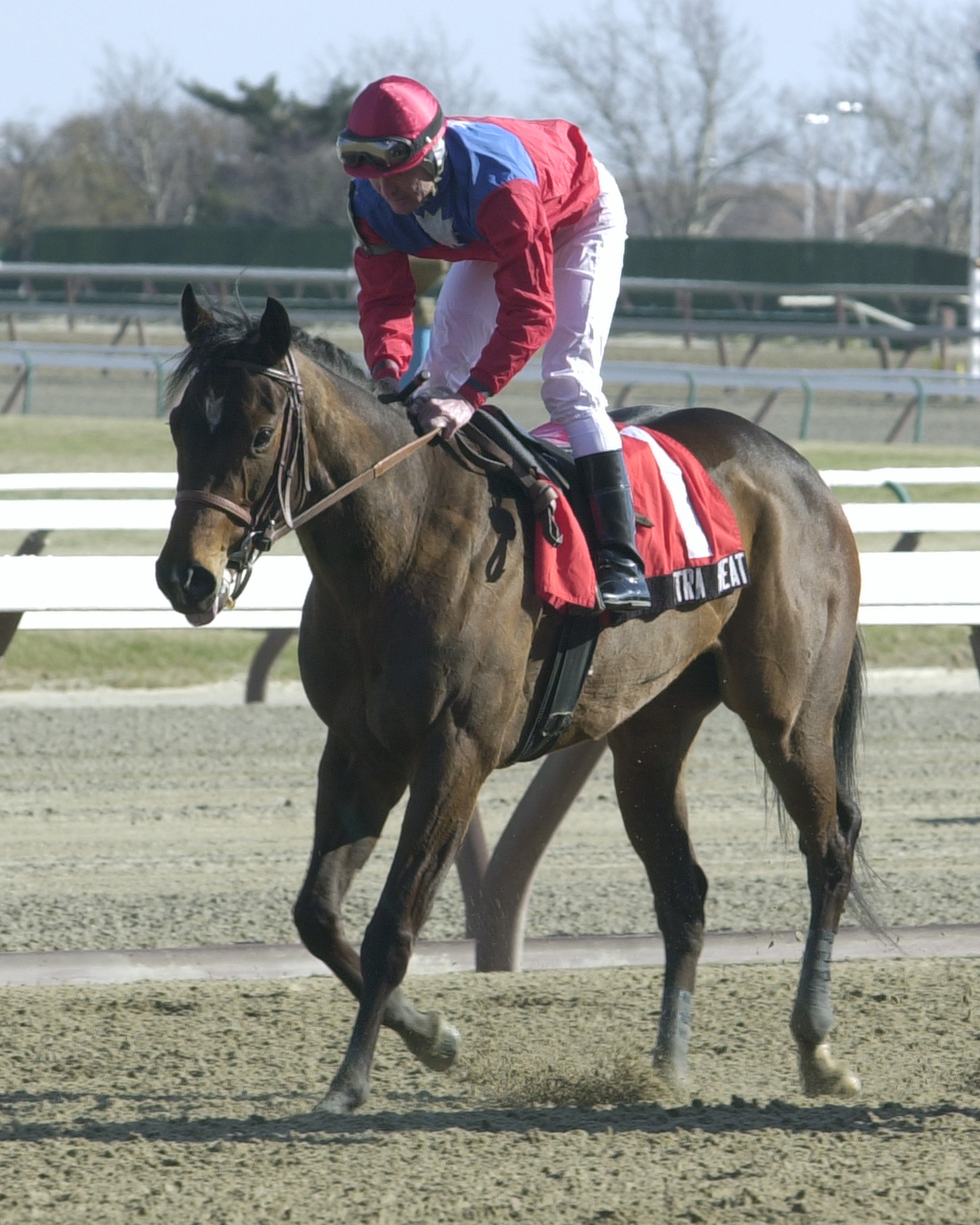 Xtra Heat (Rick Wilson up) after winning the 2001 Cicada at Aqueduct (NYRA)