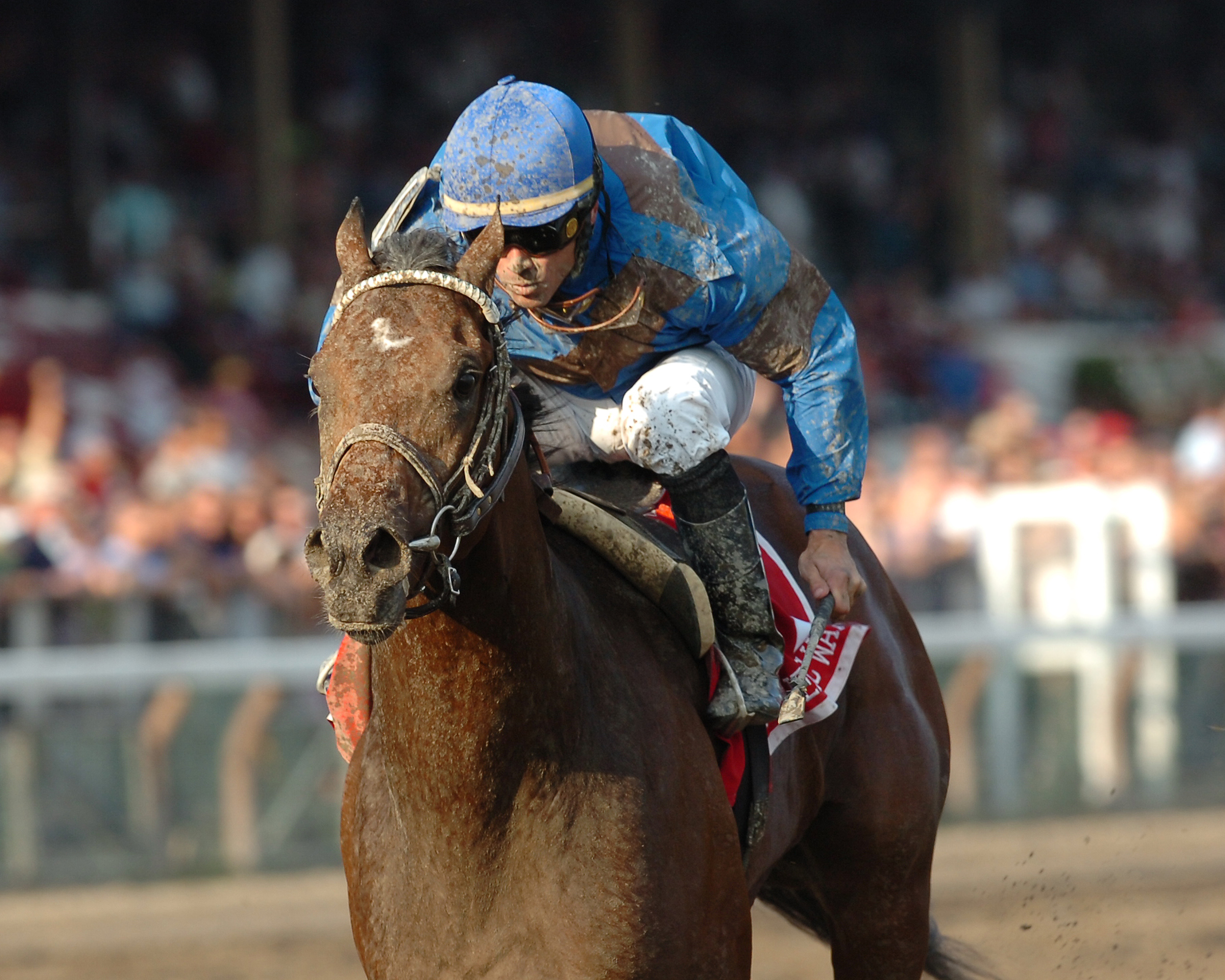 Garrett Gomez aboard Majestic Warrior (NYRA)