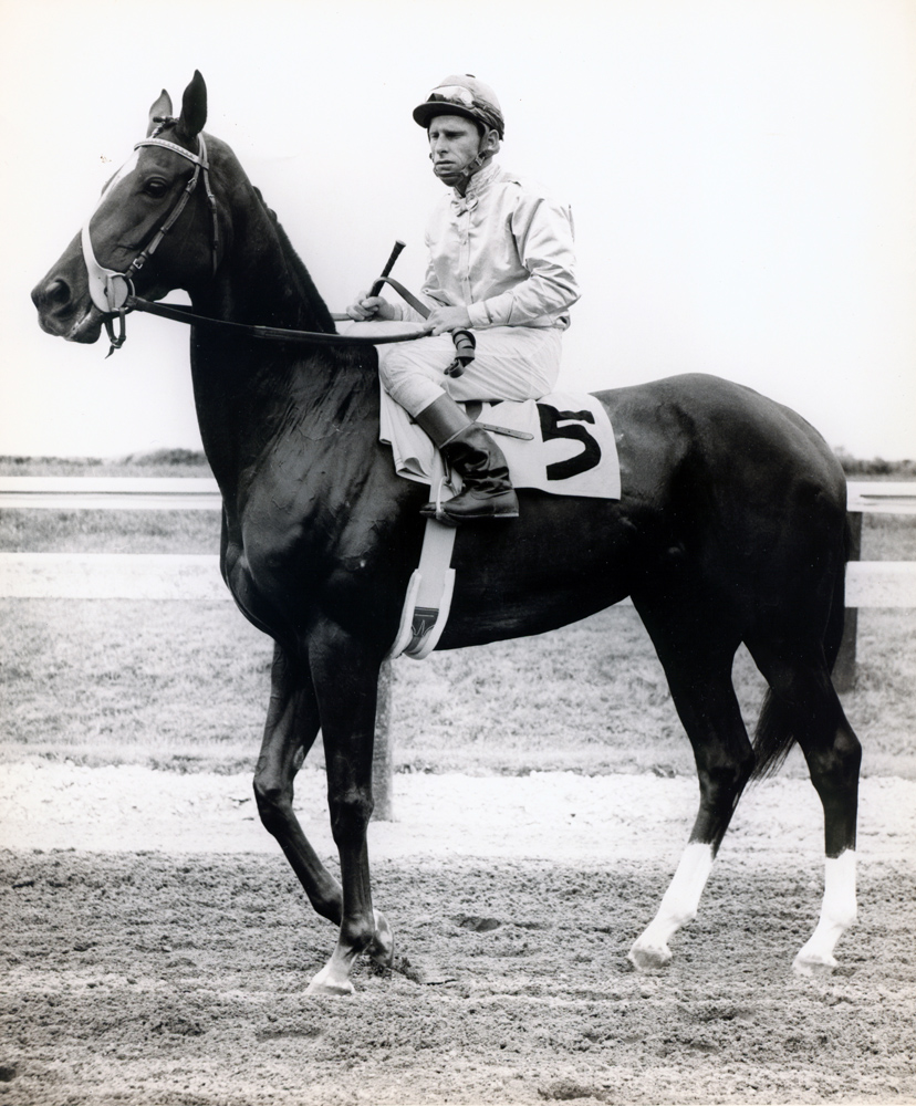 Bill Boland and Silver Spoon (Museum Collection)
