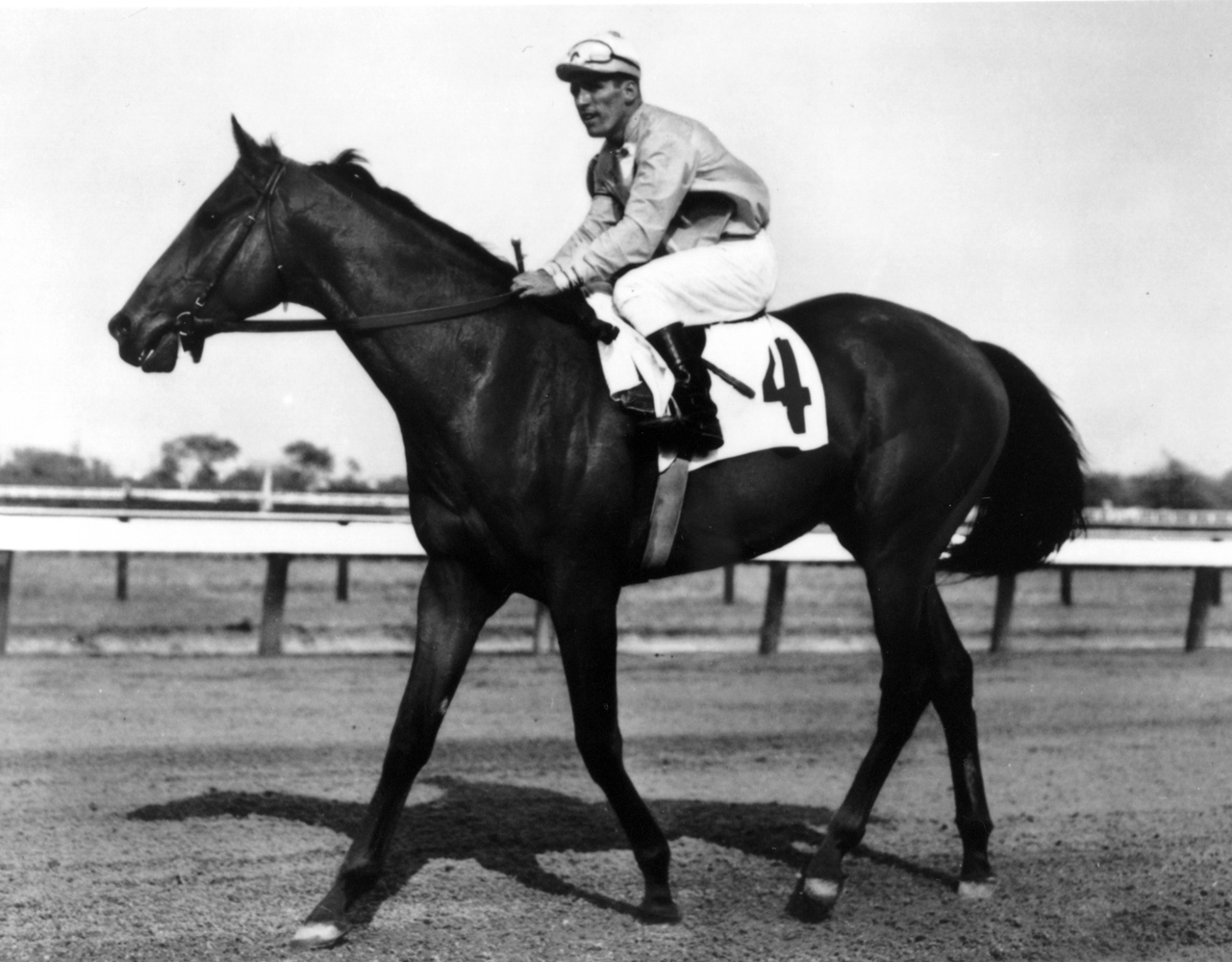 Sam Boulmetis, Jr. on an unidentified horse in 1973 (Museum Collection)