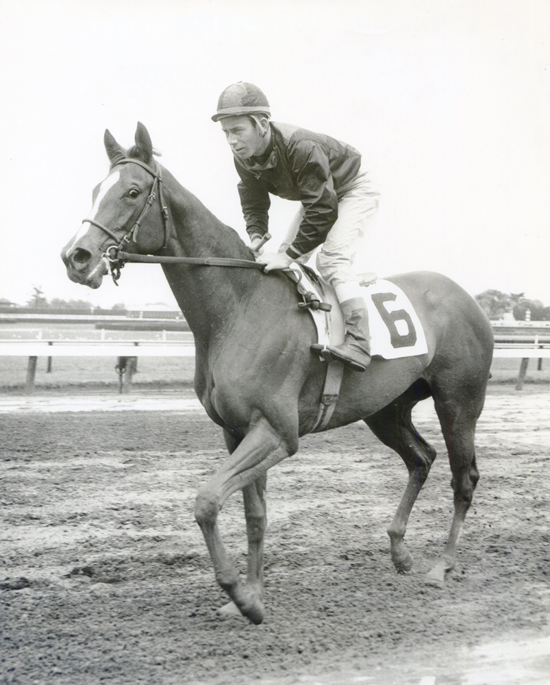 )Don Brumfield and Never in Paris celebrating the horse's first win in June 1965. (6/14/1965) (Turfotos/Museum Collection)