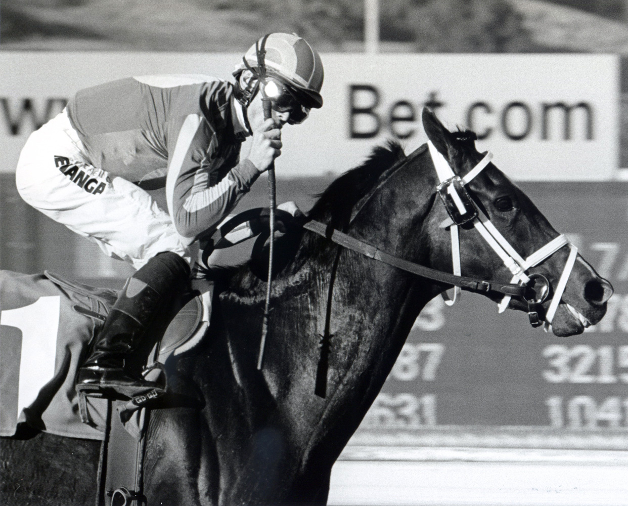 Garrett Gomez and Ravel winning the 2007 Sham Stakes at Santa Anita Park (Bill Mochon/Museum Collection)