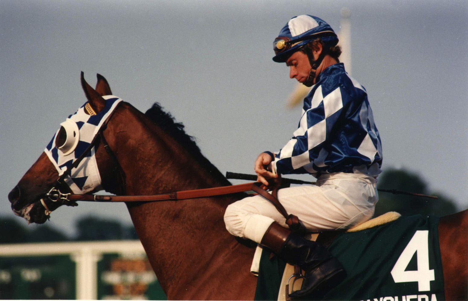 Chris McCarron and Alysheba at the 1987 Haskell Invitational at Monmouth Park (Barbara D. Livingston/Museum Collection)