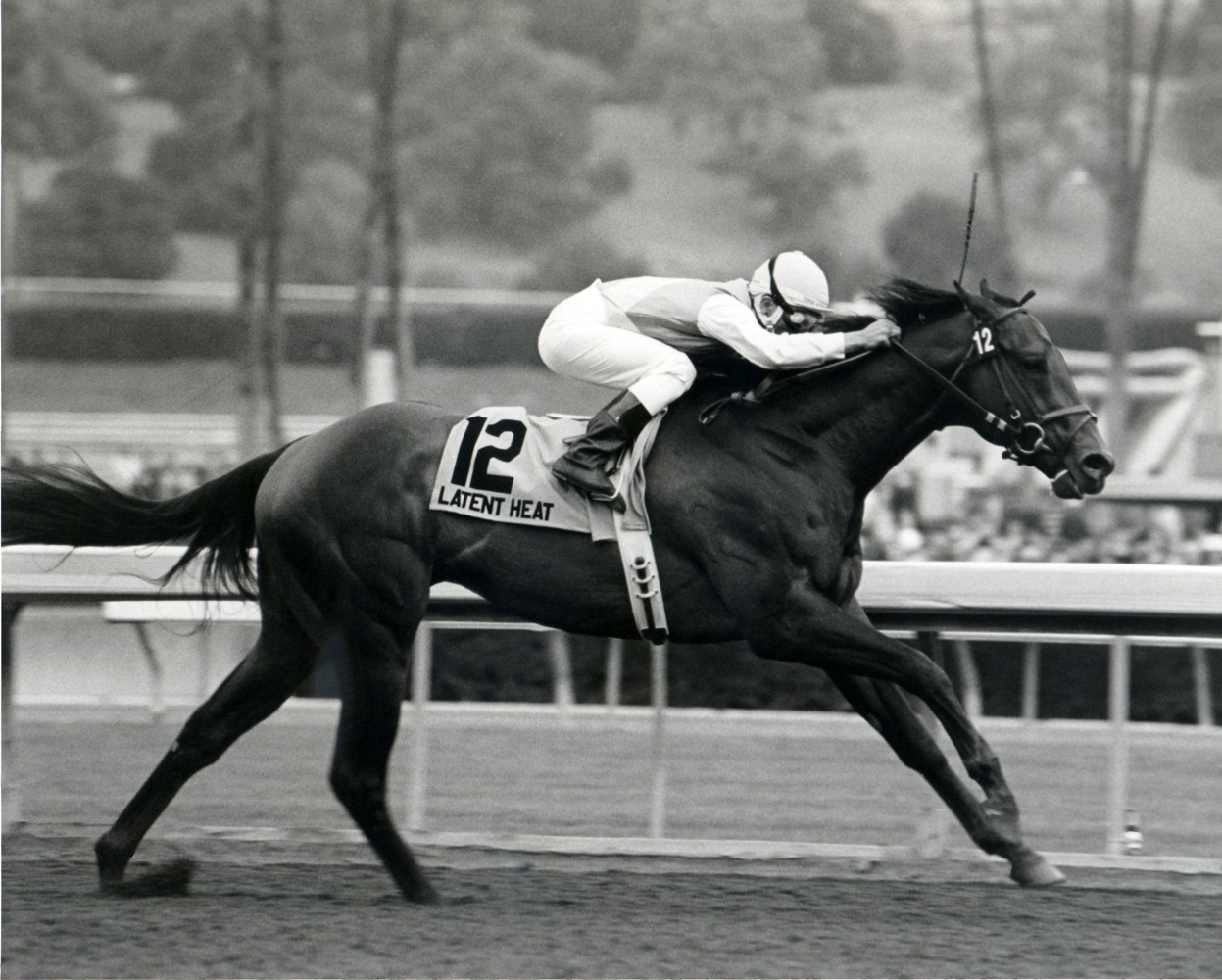 Edgar Prado and Latent Heat winning the 2006 Malibu Stakes at Santa Anita Park (Bill Mochon/Museum Collection)