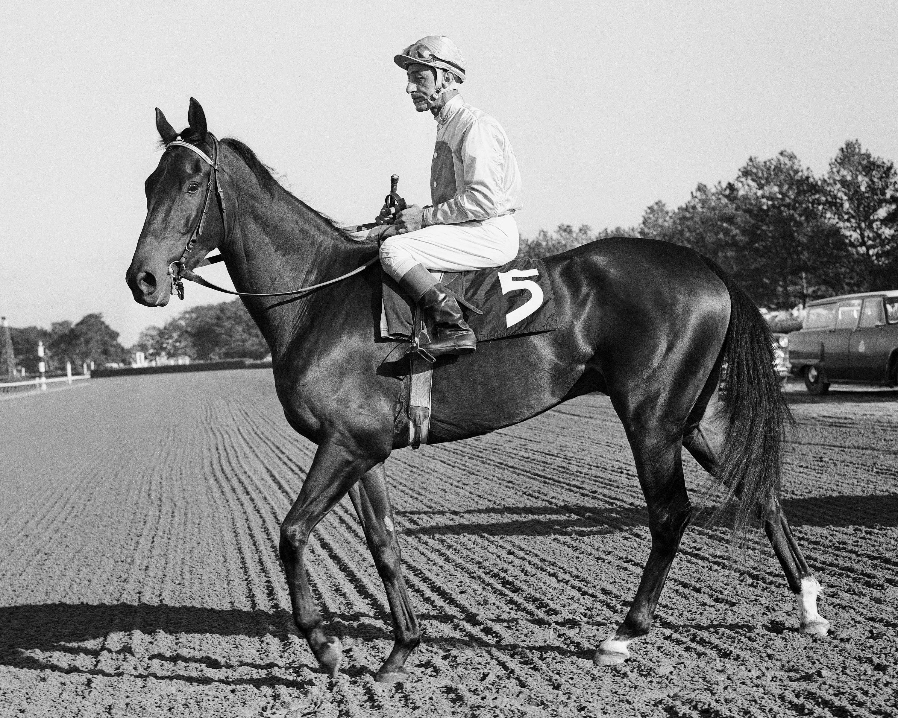 Eddie Arcaro aboard Kelso (NYRA)